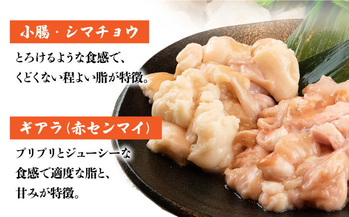 【自宅で楽しむ本場の味】九州名物 とめ手羽 博多 もつ鍋 九州 醤油味 2-3人前＜株式会社フェリックス＞那珂川市 [GCE003]