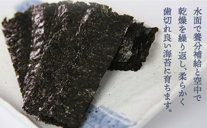 【味重視の一番摘みをお届け！】九州名物とめ手羽 福岡 有明のり 8点セット＜株式会社フェリックス＞那珂川市 魚介類 [GCE017]