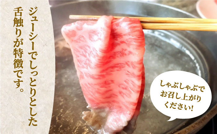 【A5～A4等級】博多和牛 サーロイン すき焼き しゃぶしゃぶ 600g×2パック（計1200g）＜株式会社チクゼンヤ＞那珂川市 [GCF006]