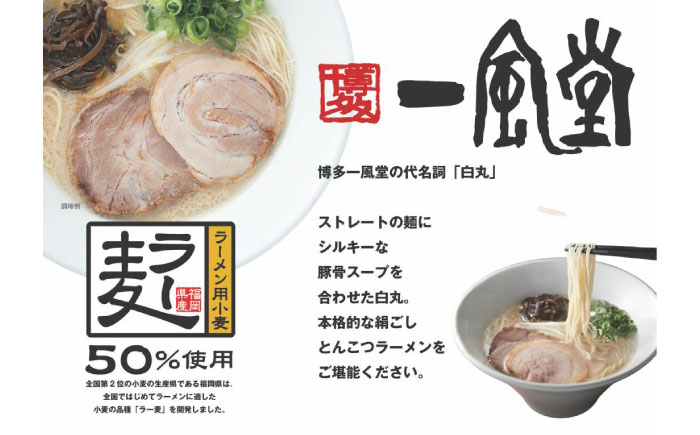 「一風堂」白丸 ラー麦麺セット 合計8食分セット [GCL047]