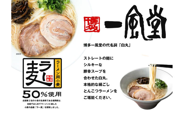 ラー麦使用「一風堂」とんこつラーメン 白丸合計16食(8食×2)【ホットもやしソース付き】 [GCL050]