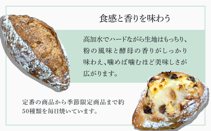 おまかせパン 8-10個 リベイクセット＜Pain du jour＞那珂川市 パン ぱん [GCZ001]