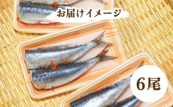 ピリ辛 いわし明太6尾＜株式会社マル五＞那珂川市 明太加工 [GDW014]