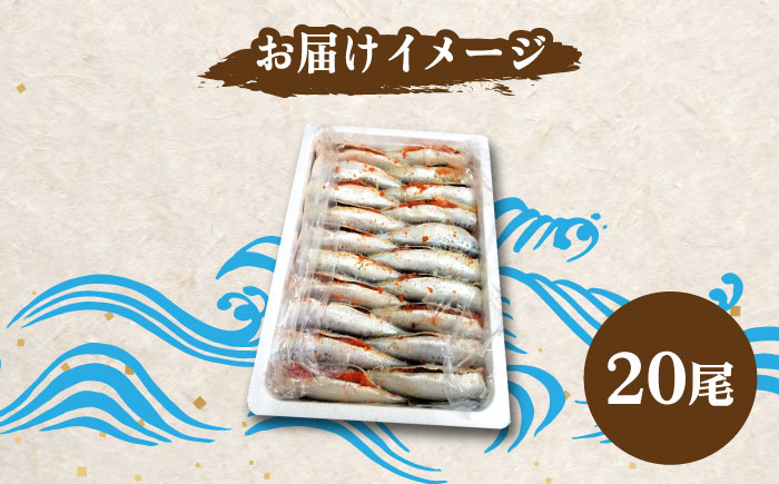 ピリ辛 いわし明太20尾＜株式会社マル五＞那珂川市 明太加工 [GDW015]