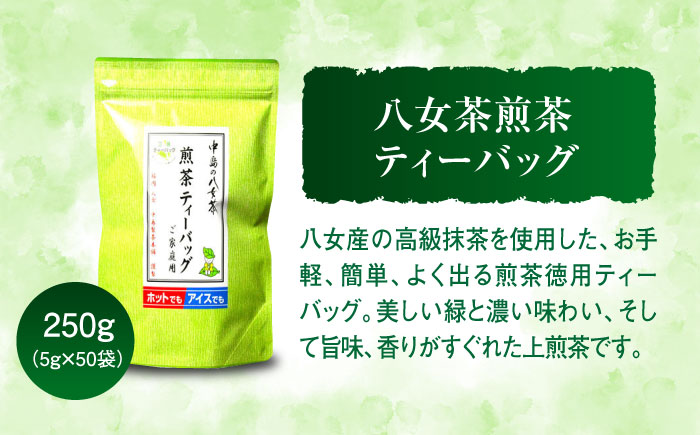 福岡銘茶 八女茶 ティーバッグ付 急須要らずのお手軽セット（便利なチャック付）＜株式会社マル五＞那珂川市 飲料 お茶 茶 [GDW031]