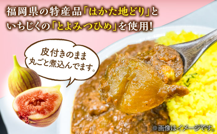 福岡県産「博多とよみつひめ」を丸ごと使用！！いちじくゴロっとカレー（170g×10袋）＜株式会社natural factory＞那珂川市 [GEA072]