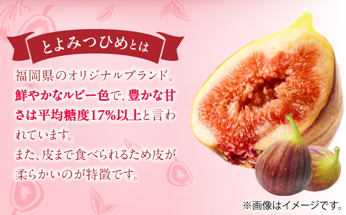 福岡県産「博多とよみつひめ」冷凍いちじく！合計1.5kg（500g×3袋）＜株式会社natural factory＞那珂川市 フルーツ [GEA081]