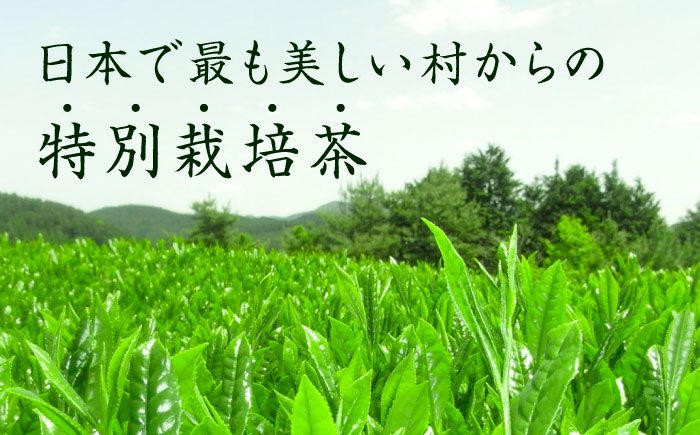 【全6回定期便】奥八女星野村 八女茶 高級煎茶 深蒸し茶 100g×2袋＜株式会社ベネフィス＞那珂川市 飲料 お茶 茶 [GED027]