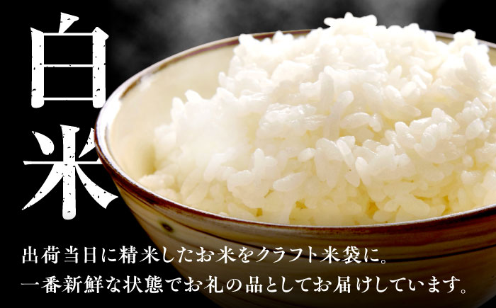【令和7年度産】【白米or玄米選べる！】特A評価! 元気つくし 10kg（5kg×2袋）＜株式会社ベネフィス＞那珂川市 [GED030]