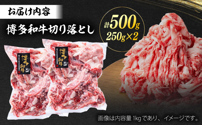 A4／A5 博多和牛 切り落とし こま切れ 500g (250g×2) ＜ヌルボン＞ 那珂川市 [GEU003]