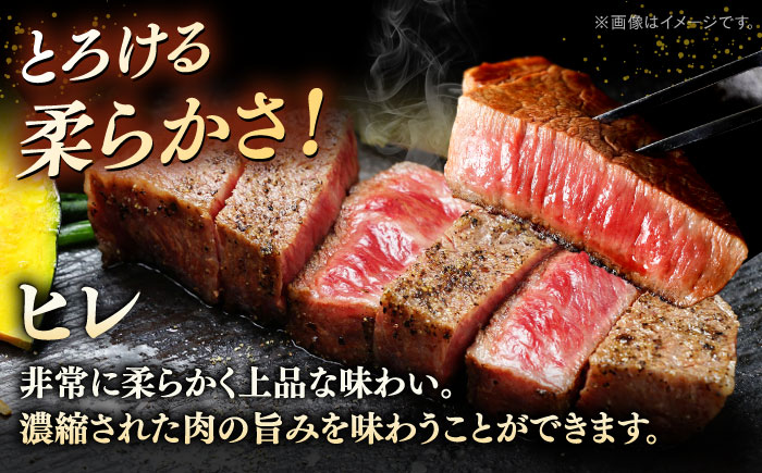 【全6回定期便】極上 博多和牛 A5ランク ステーキセット（ヒレ200g・サーロイン350g）＜KRAZY MEAT＞那珂川市 ヒレ サーロイン ステーキ セット A5 BBQ [GFQ019]