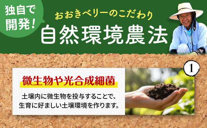 【2026年2月より発送】先行予約！『自然環境農法』で育てた福岡県産 あまおう 約285g×4パック＜おおきべりー株式会社＞那珂川市 フルーツ いちご あまおう [GZE002]