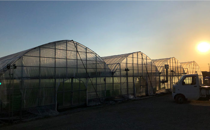 【全3回定期便】先行予約！1～3月発送『自然環境農法』で育てた福岡県産 あまおう 約285g×2パック＜おおきべりー株式会社＞那珂川市 [GZE003]