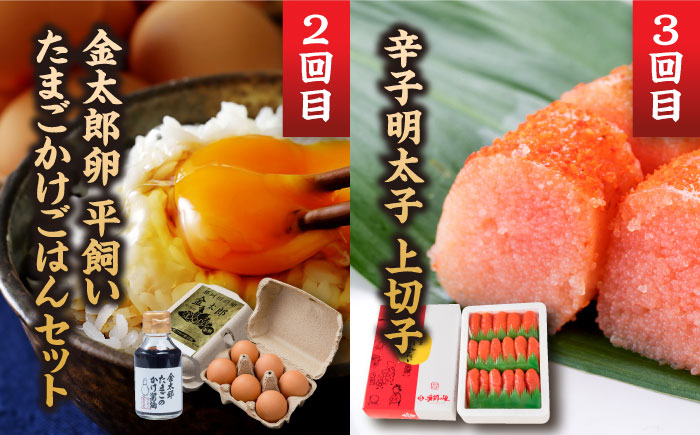 【全5回定期便】これぞ決定版！ご飯のおとも定期便 那珂川市 定期便 [GZZ004]