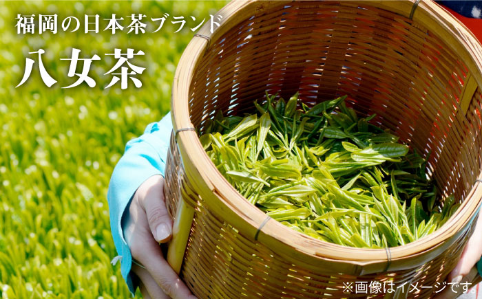 【全3回定期便】八女茶6袋（600g）セット＜お茶の星陽園 ＞那珂川市 飲料 お茶 茶 [GAD005]
