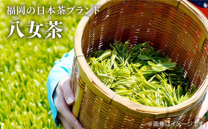 【日常に寄り添う豊かな香り】福岡県産 八女煎茶  ティーバッグ（上煎茶・ほうじ茶）詰合せ＜お茶の星陽園＞那珂川市 飲料 お茶 茶 [GAD015]