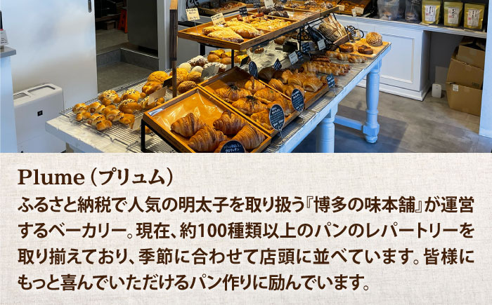 パン・カレ 食パン 3種セット 計4斤＜博多の味本舗＞那珂川市 [GAE062]