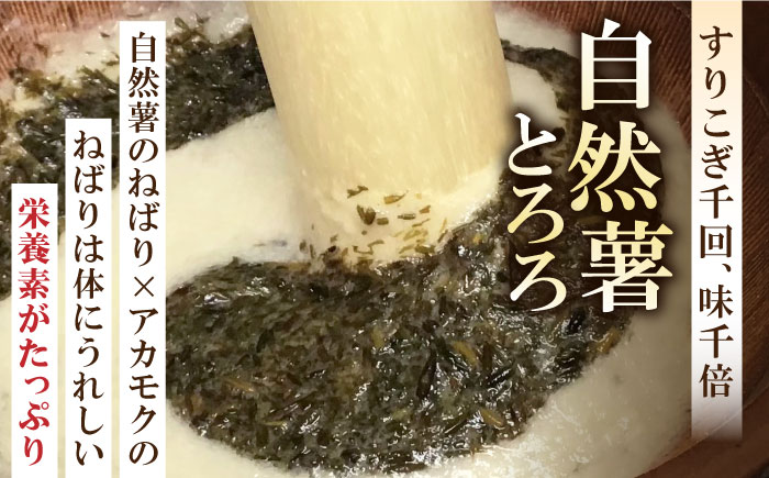 【全3回定期便】磯の風味が香るふわふわとろろ! 那珂川産 博多自然薯 アカモク とろろ 60g×6個＜自然薯王国＞那珂川市 [GAH018]