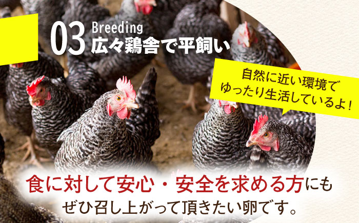 ＼月2回発送／【TVで紹介！】【鮮度ＡＡ級の世界最高ランク！】金太郎卵 平飼い たまご 計48個(24個×月2回)＜有限会社フジノ香花園＞那珂川市 [GAM038]