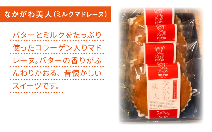 【全3回定期便】VISAVIS 菓子 2種セット 計9点 ＜株式会社シークス＞那珂川市 スイーツ 焼菓子 焼き菓子 [GAU007]