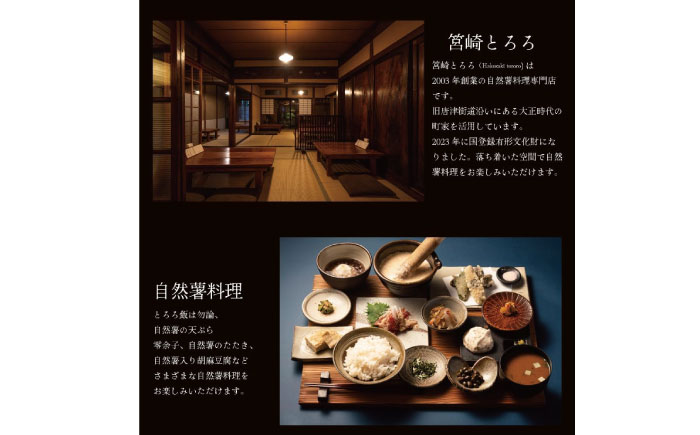 筥崎とろろ 自然薯のだしわりとろろ 計500g （10食セット × 50g) 冷凍 個包装 無添加 ＜株式会社九千部＞ 那珂川市 [GAZ003]