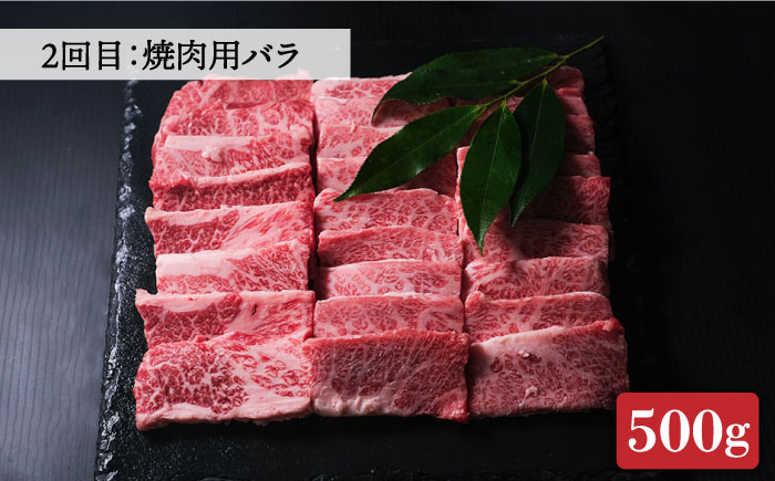 【全3回定期便】博多和牛 牛肉 焼肉 BBQ 定期便＜肉のくまもと屋＞那珂川市 [GBI047]