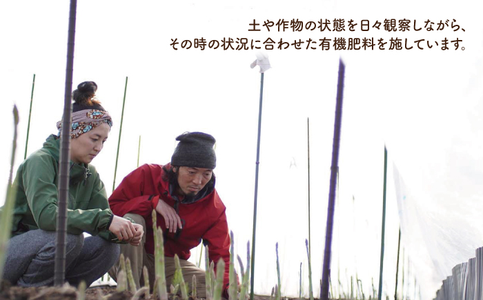 TVでも紹介！サイズが豊富で食卓楽しい！ アスパラガス 1kg＜坂井農園＞那珂川市 野菜 [GBP001]
