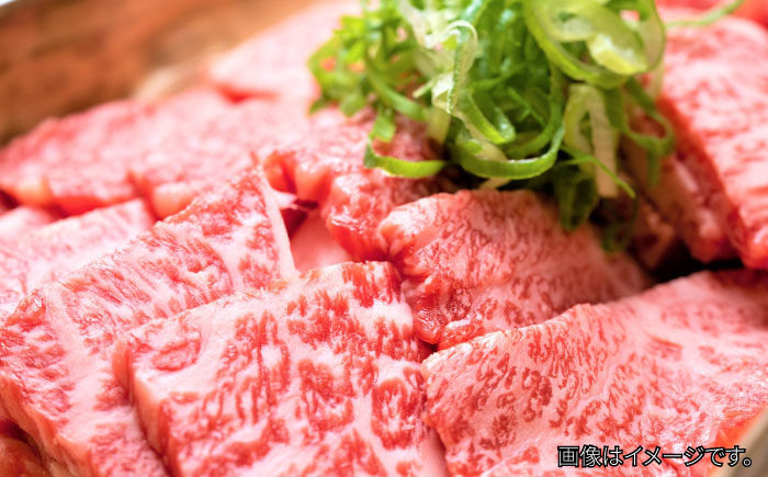 【和牛の旨味を堪能！】博多和牛 焼肉用 500g＜株式会社MEAT PLUS＞那珂川市 肉 牛肉 黒毛和牛 [GBW003]