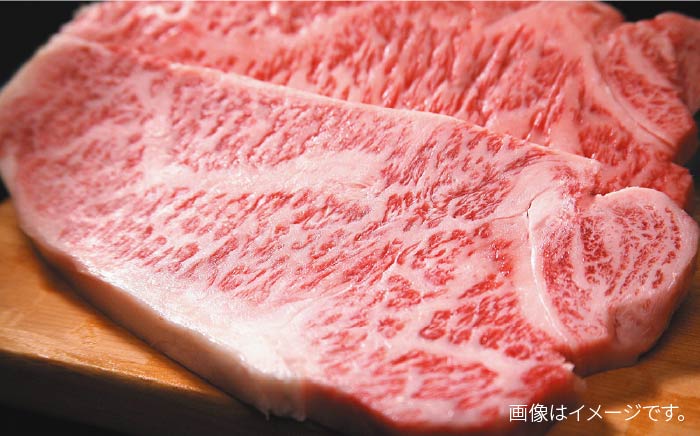 【全6回定期便】【溢れる肉汁と濃厚な旨味】博多和牛 サーロイン ステーキセット 500g（250g×2枚）＜株式会社MEAT PLUS＞那珂川市 肉 牛肉 黒毛和牛 [GBW017]