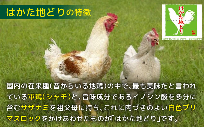 はかた地鶏モモムネセット 2kg（1kg×2p）＜株式会社MEAT PLUS＞那珂川市 肉 鶏肉 肉 牛肉 黒毛和牛 [GBW111]