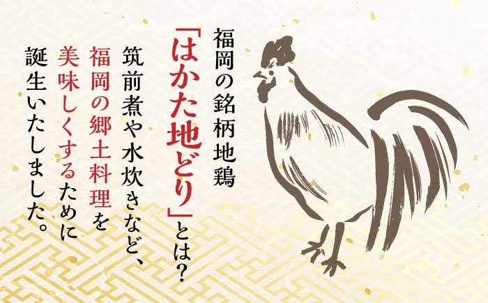 はかた地どり炭火焼きセット500g(100g×5p)＜株式会社MEAT PLUS＞那珂川市 肉 鶏肉 肉 牛肉 黒毛和牛 [GBW119]
