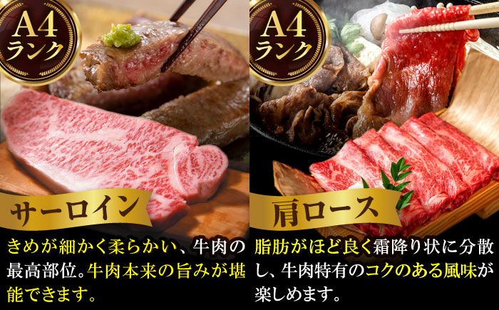 【半頭丸ごとオーダーカット！】博多和牛 半頭食べ尽くしセット＜株式会社MEAT PLUS＞那珂川市 肉 牛肉 黒毛和牛 [GBW139]