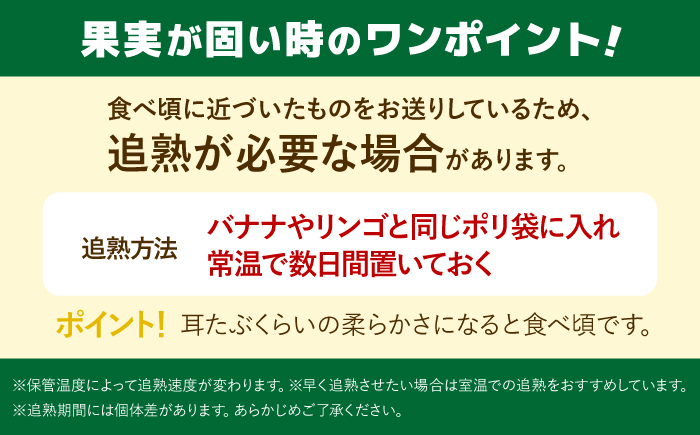先行予約！【2026年11月以降発送】産地直送！ 福岡県オリジナル品種 キウイフルーツ  甘うぃ  約3kg＜一般社団法人地域商社ふるさぽ＞那珂川市 [GBX007]