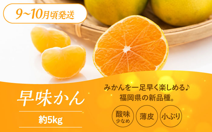 【全3回定期便】九州・福岡もぎたて フルーツ定期便 A＜一般社団法人地域商社ふるさぽ＞那珂川市 フルーツセット [GBX014]