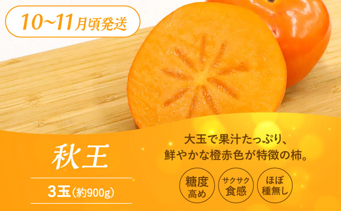 【全3回定期便】九州・福岡もぎたて フルーツ定期便 B＜一般社団法人地域商社ふるさぽ＞那珂川市 フルーツセット [GBX022]