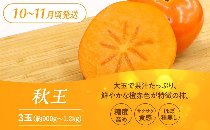 【全3回定期便】九州・福岡もぎたて フルーツ定期便 C＜一般社団法人地域商社ふるさぽ＞那珂川市 フルーツセット [GBX023]