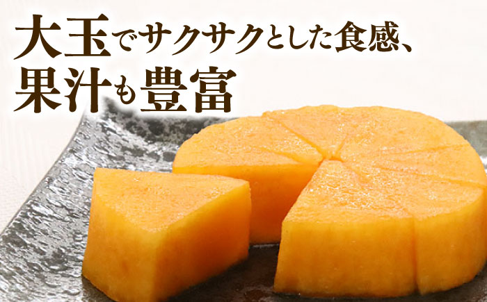 【2026年10月以降発送】福岡より直送！ 種がほとんどない新ブランド 柿 秋王 3玉＜一般社団法人地域商社ふるさぽ＞那珂川市 [GBX052]