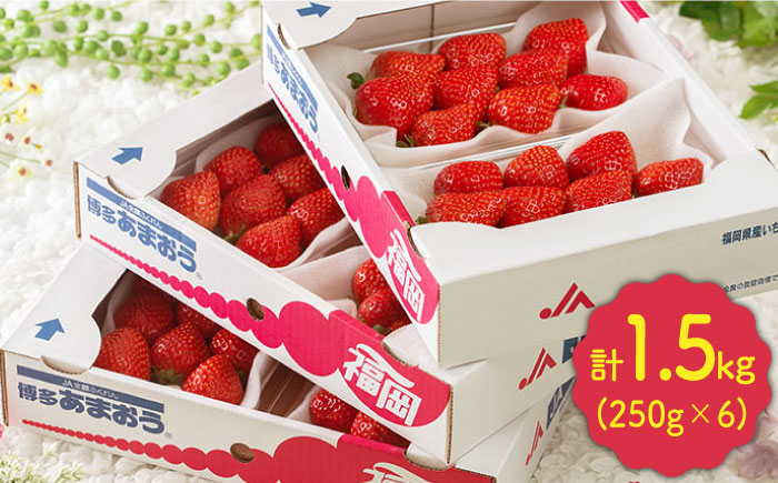 【2月上旬より発送】先行予約！福岡産【春】 あまおう 6パック＜南国フルーツ株式会社＞那珂川市 [GCD010]