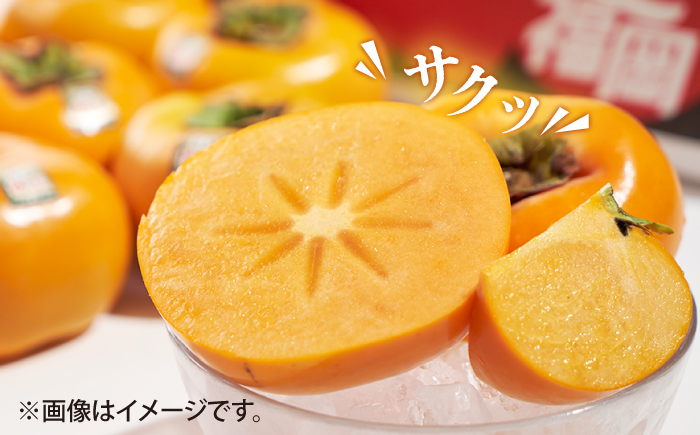 【10月中旬より発送】先行予約 福岡産ブランド 柿 秋王 約3kg（8-12玉）＜南国フルーツ株式会社＞那珂川市 [GCD022]