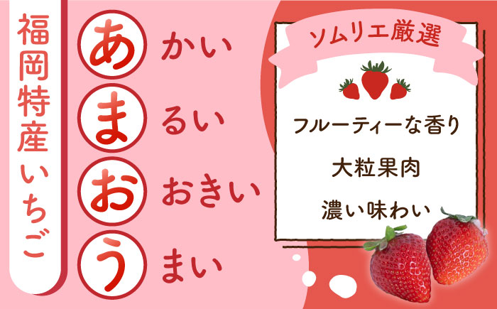 【全6回定期便】【2026年4月以降発送】先行予約！福岡産 あまおう ジェラート 1000ml＜南国フルーツ株式会社＞那珂川市 スイーツ [GCD050]