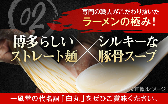 【訳あり】一風堂白丸 ラー麦麺セット バラ6食分＜博多漁師の里＞ 那珂川市 [GCL046]