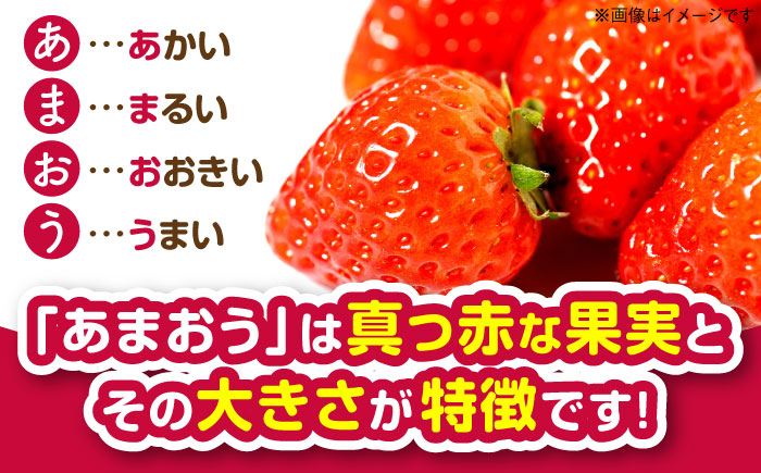 あかい・まるい・おおきい・うまい「博多あまおう」の冷凍いちご 計2kg(500g×4）＜株式会社natural factory＞那珂川市 フルーツ 果物 イチゴ あまおう [GEA020]