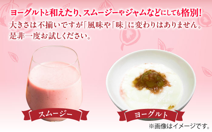 福岡県産「博多とよみつひめ」冷凍いちじく！合計1kg（500g×2袋）＜株式会社natural factory＞那珂川市 とよみつひめ [GEA080]