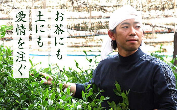 【全6回定期便】奥八女星野村 八女茶 高級煎茶 深蒸し茶 100g×1袋＜株式会社ベネフィス＞那珂川市 飲料 お茶 茶 [GED026]