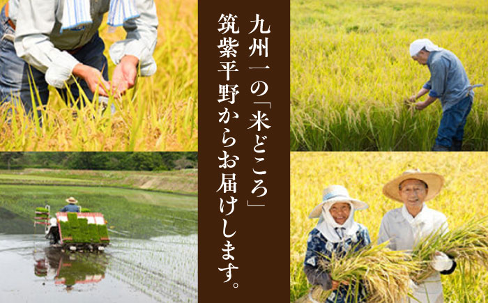 特A評価! 元気つくし【玄米】 5kg＜株式会社ベネフィス＞那珂川市 [GED056]