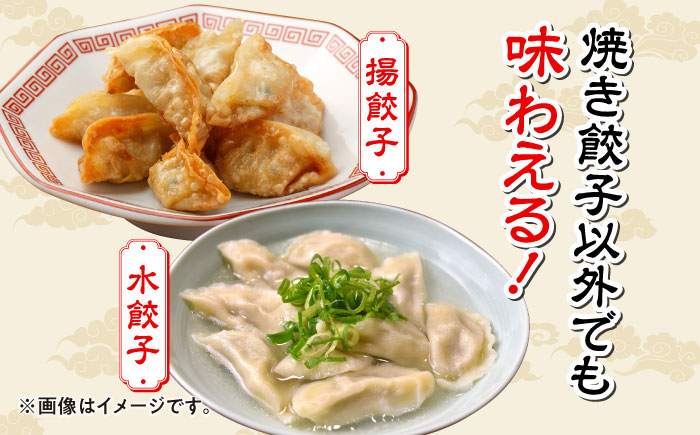 冷凍 博多一口餃子 25個入り×5パック＜麺専科げんき＞那珂川市 [GEG002]