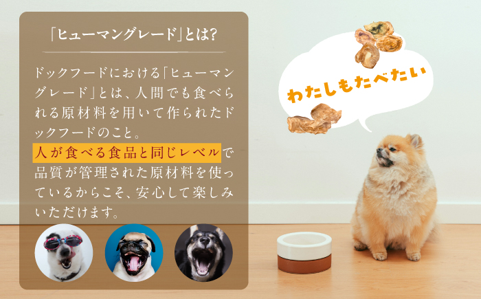 犬用 ジャーキー 博多一番どり 【ささみ】6袋セット＜うちの子 お元気堂＞那珂川市 [GEK004]