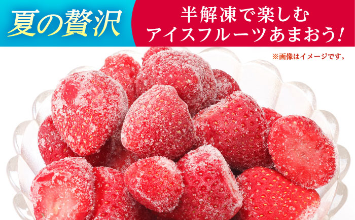 福岡県産 冷凍あまおう500g(250g×2個) ＜木村食品＞ 那珂川市 [GFR034]