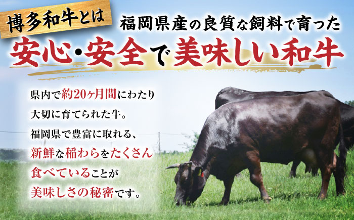 【A4～A5 等級】博多和牛 モモ 焼肉用 800g (400g×2p) ＜ヒサダヤフーズ＞那珂川市 [GFY034]