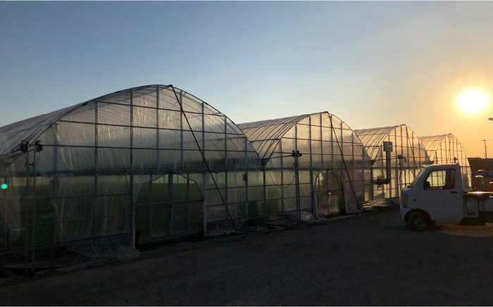 『自然環境農法』で育てた福岡県産 冷凍 あまおう 4kg＜おおきべりー株式会社＞那珂川市 [GZE006]